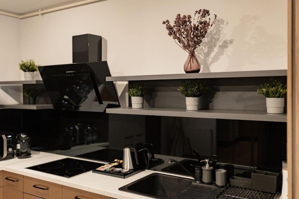 Nest Inn Magic Apartment Клуж-Напока Екстер'єр фото